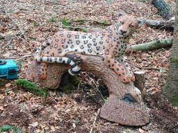 IMG_20251012_112854126